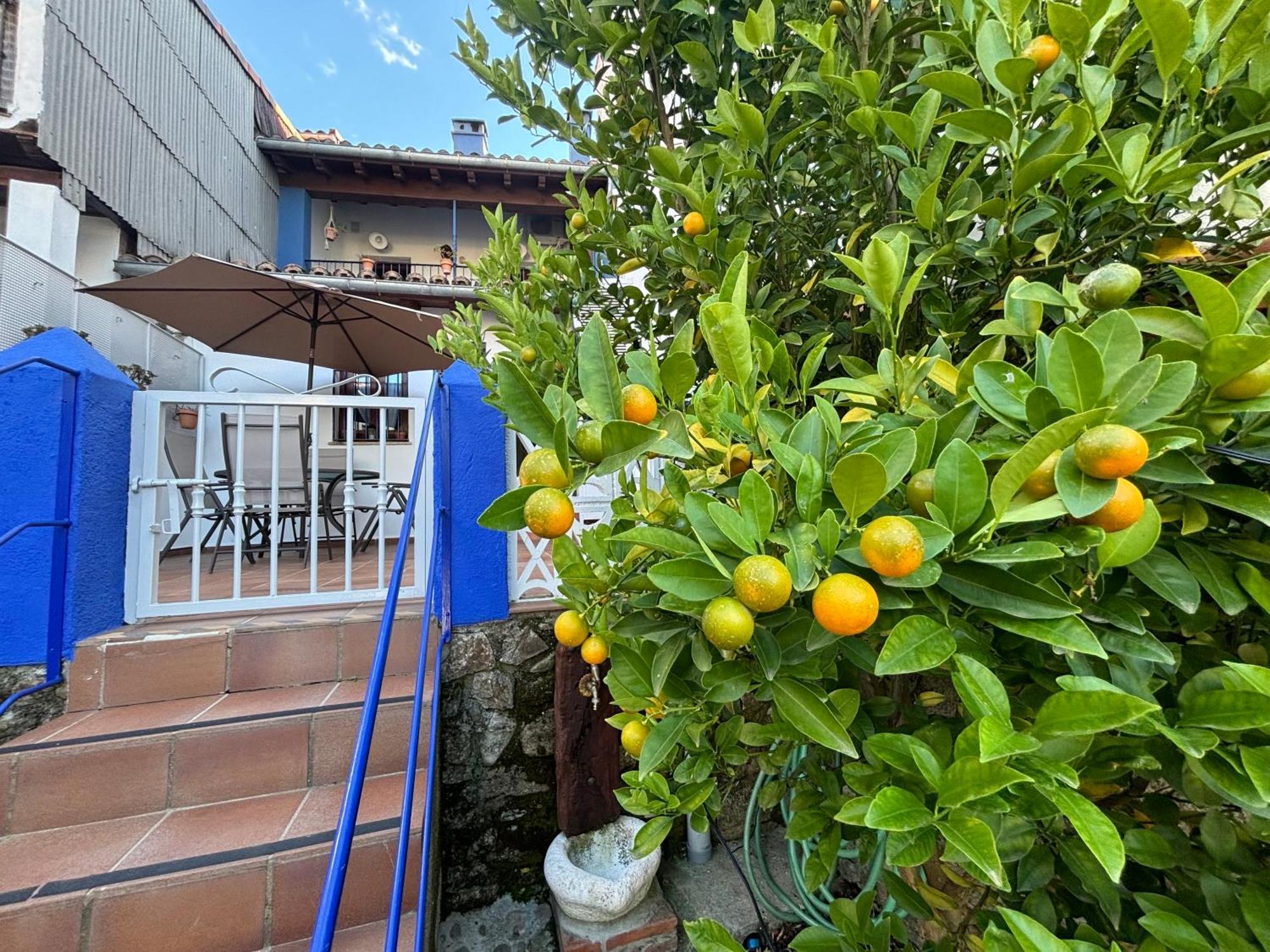 Alborada Apartamentos Rurales Hervas Ngoại thất bức ảnh